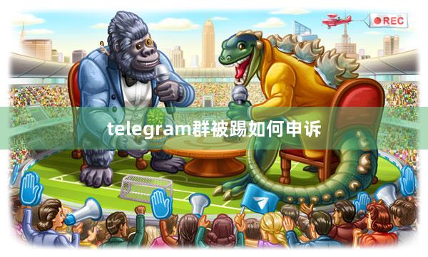 telegram群被踢如何申诉