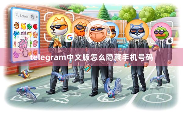 telegram中文版怎么隐藏手机号码