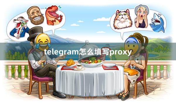 telegram怎么填写proxy